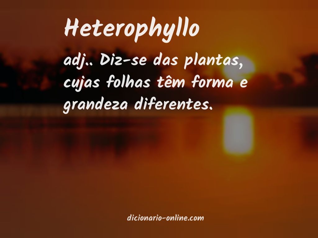 Significado de heterophyllo