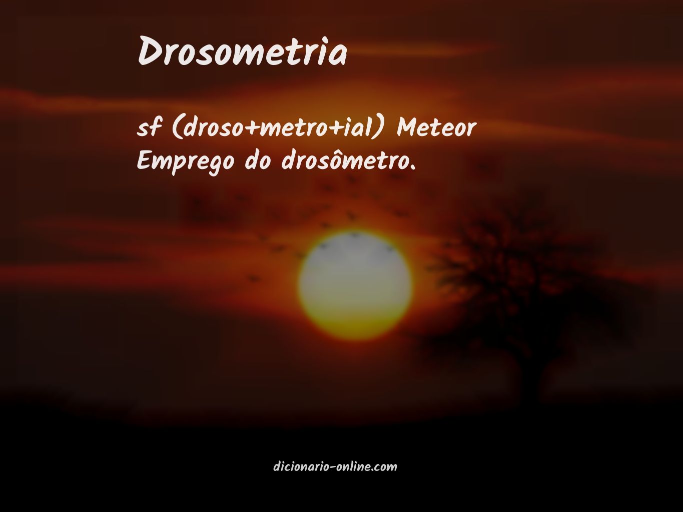 Significado de drosometria