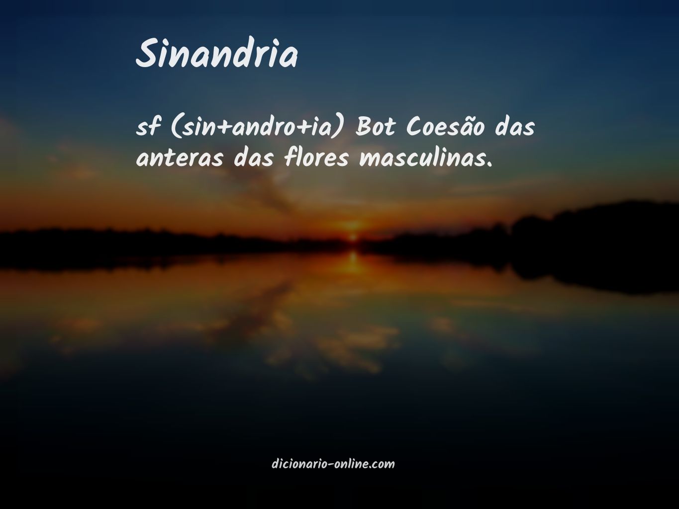 Significado de sinandria