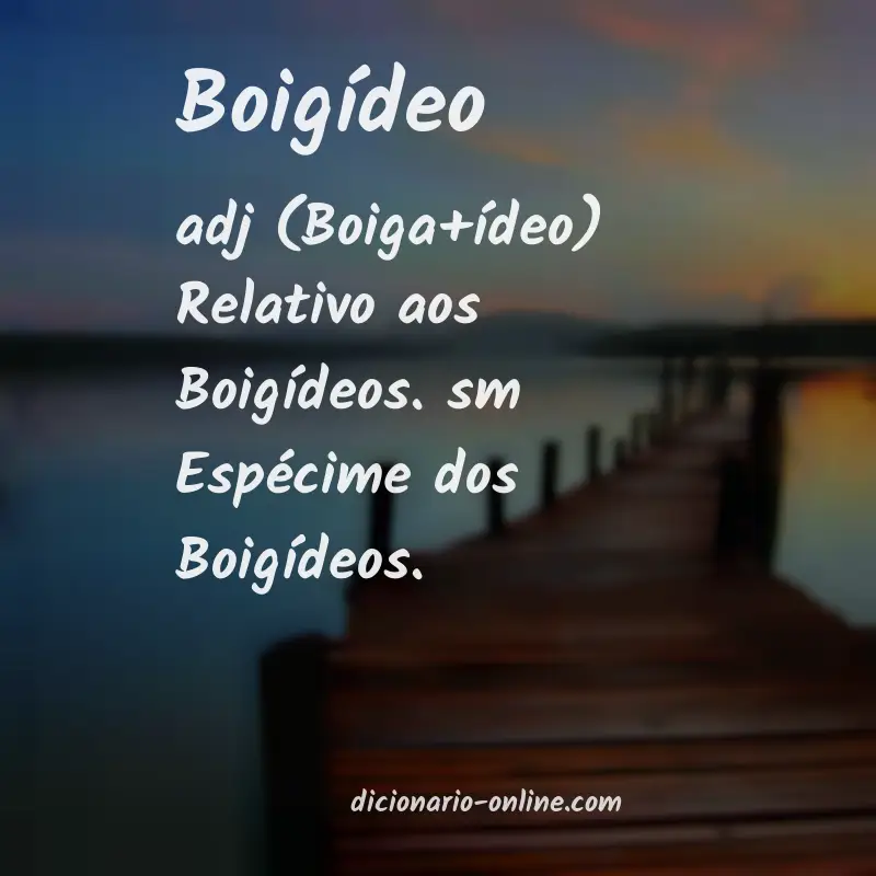 Significado de boigídeo