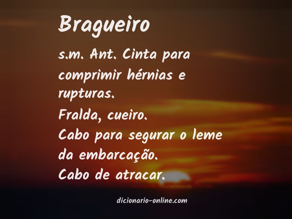 Significado de bragueiro