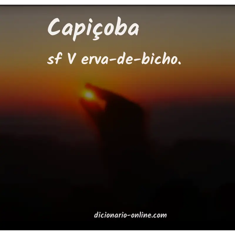 Significado de capiçoba