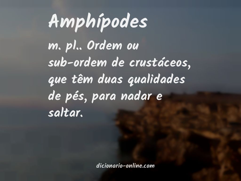 Significado de amphípodes