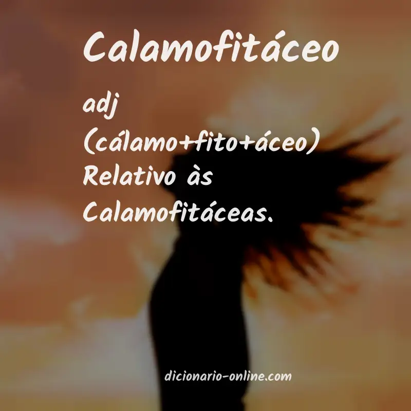 Significado de calamofitáceo