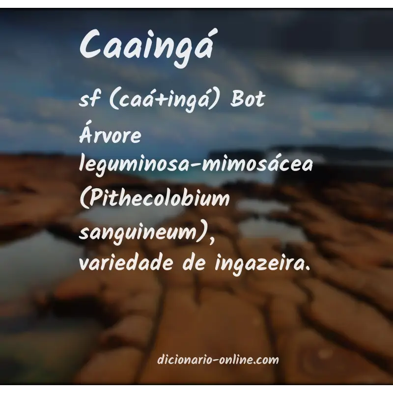 Significado de caaingá
