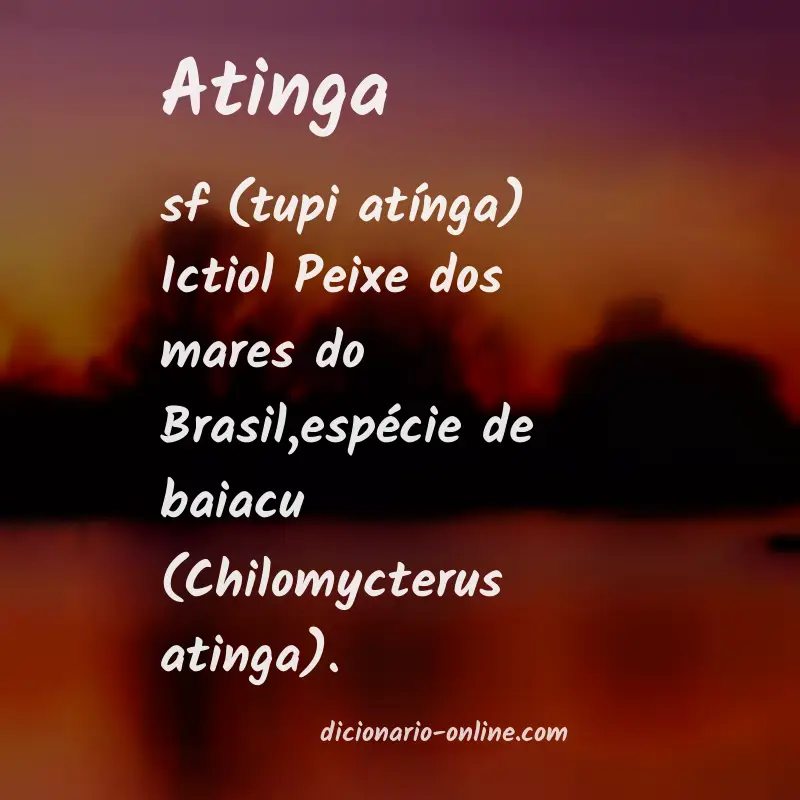 Significado de atinga