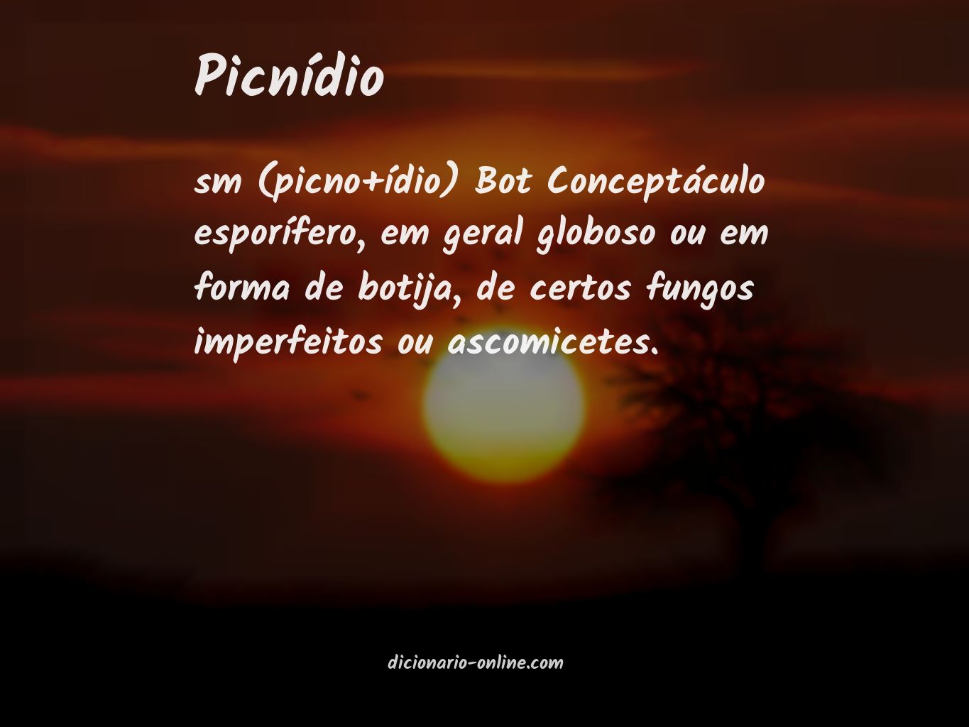 Significado de picnídio