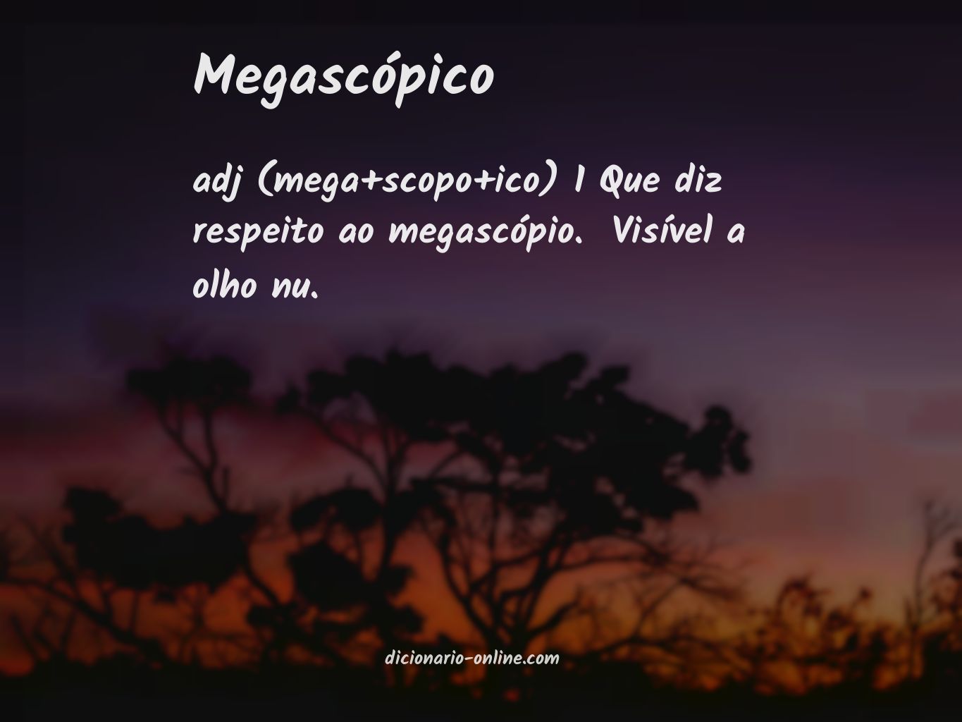 Significado de megascópico