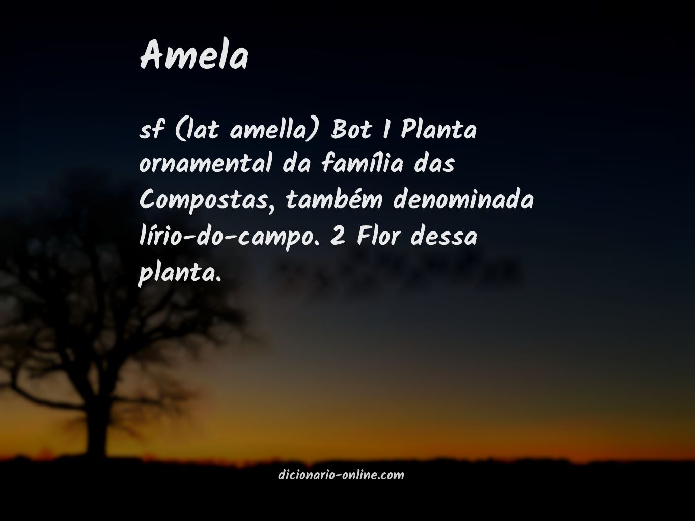 Significado de amela