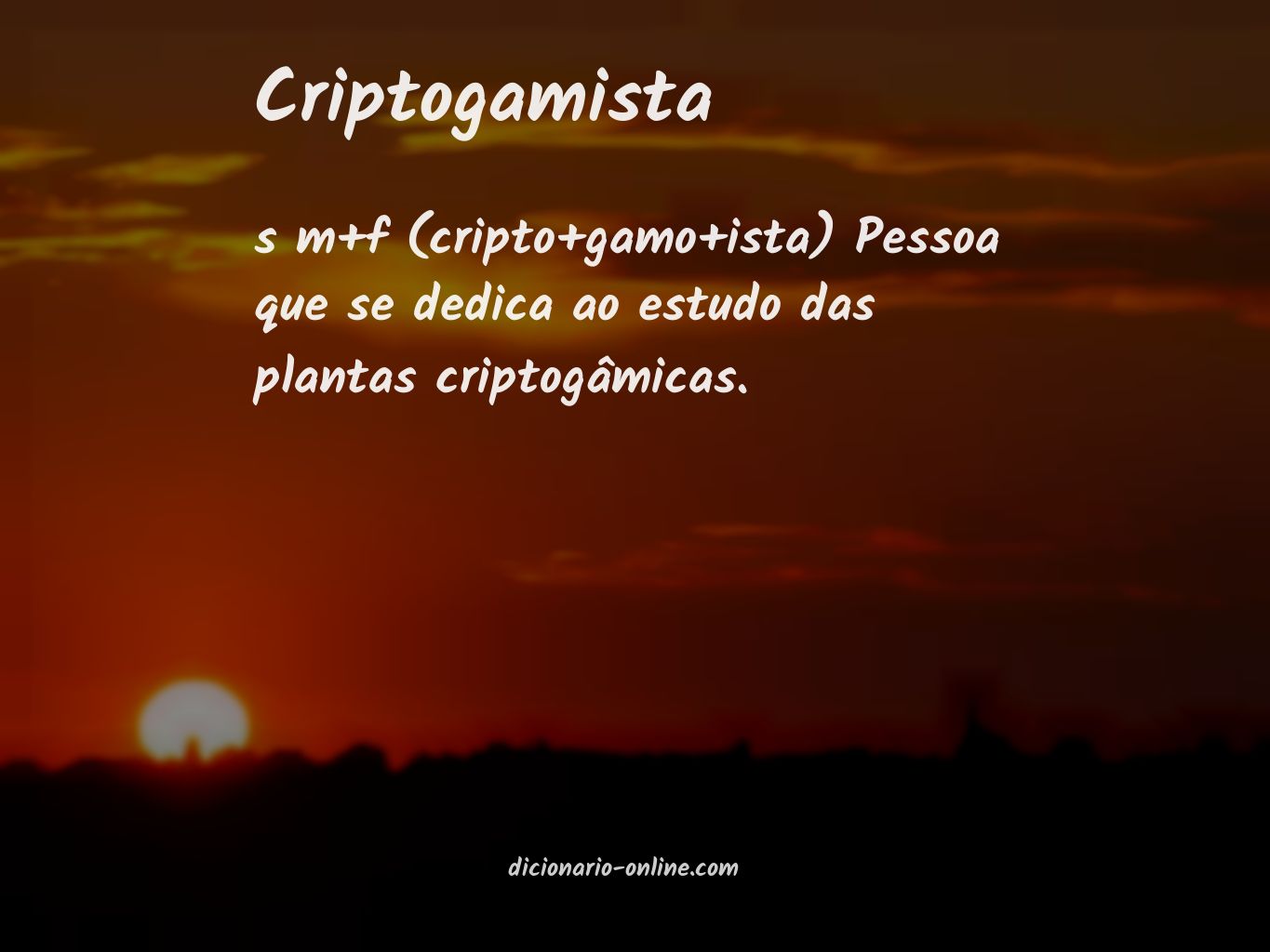 Significado de criptogamista