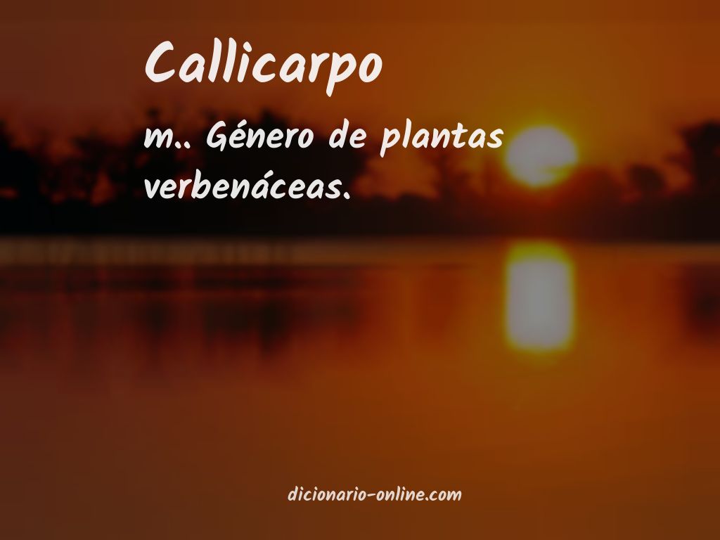 Significado de callicarpo