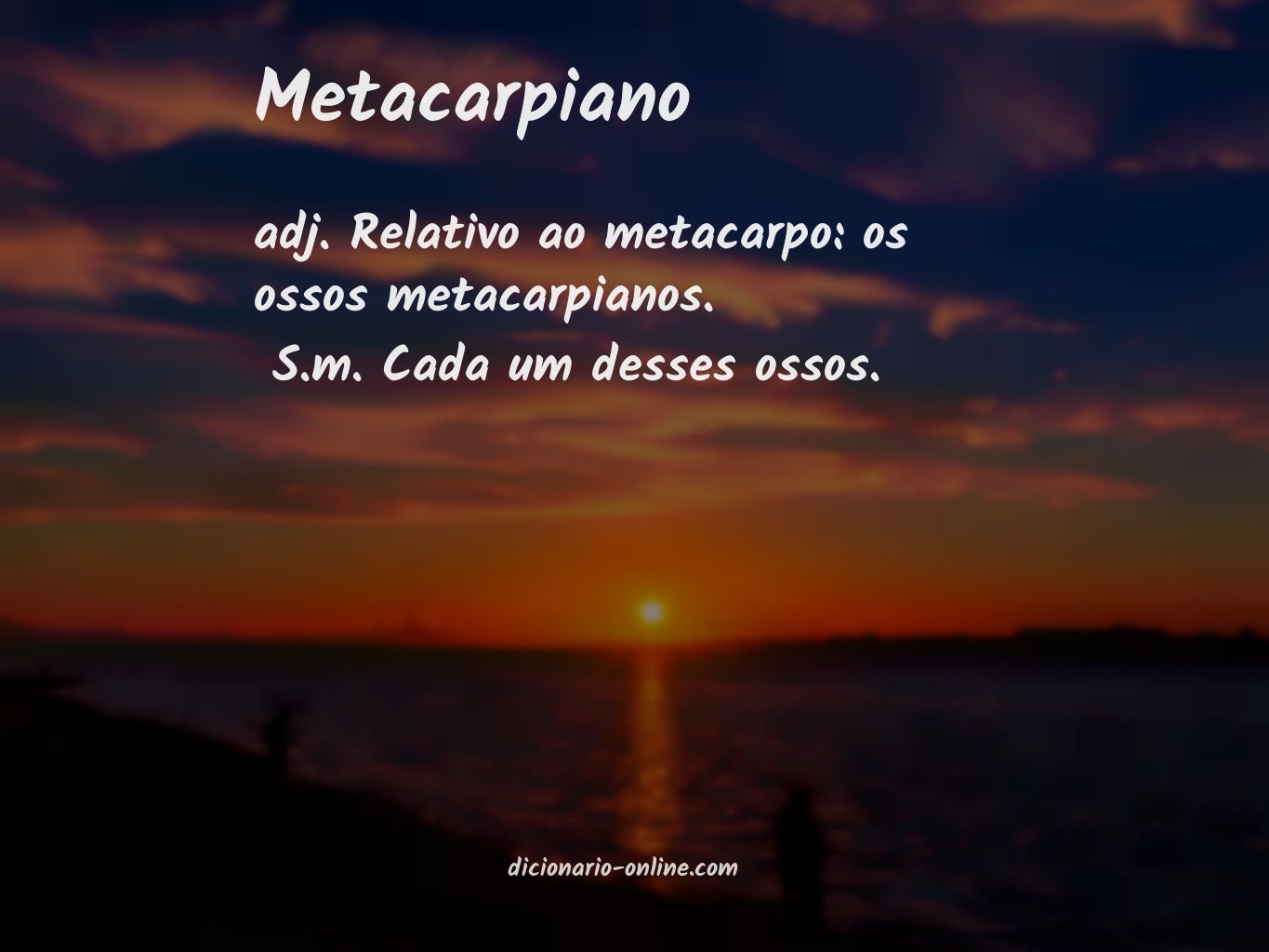 Significado de metacarpiano