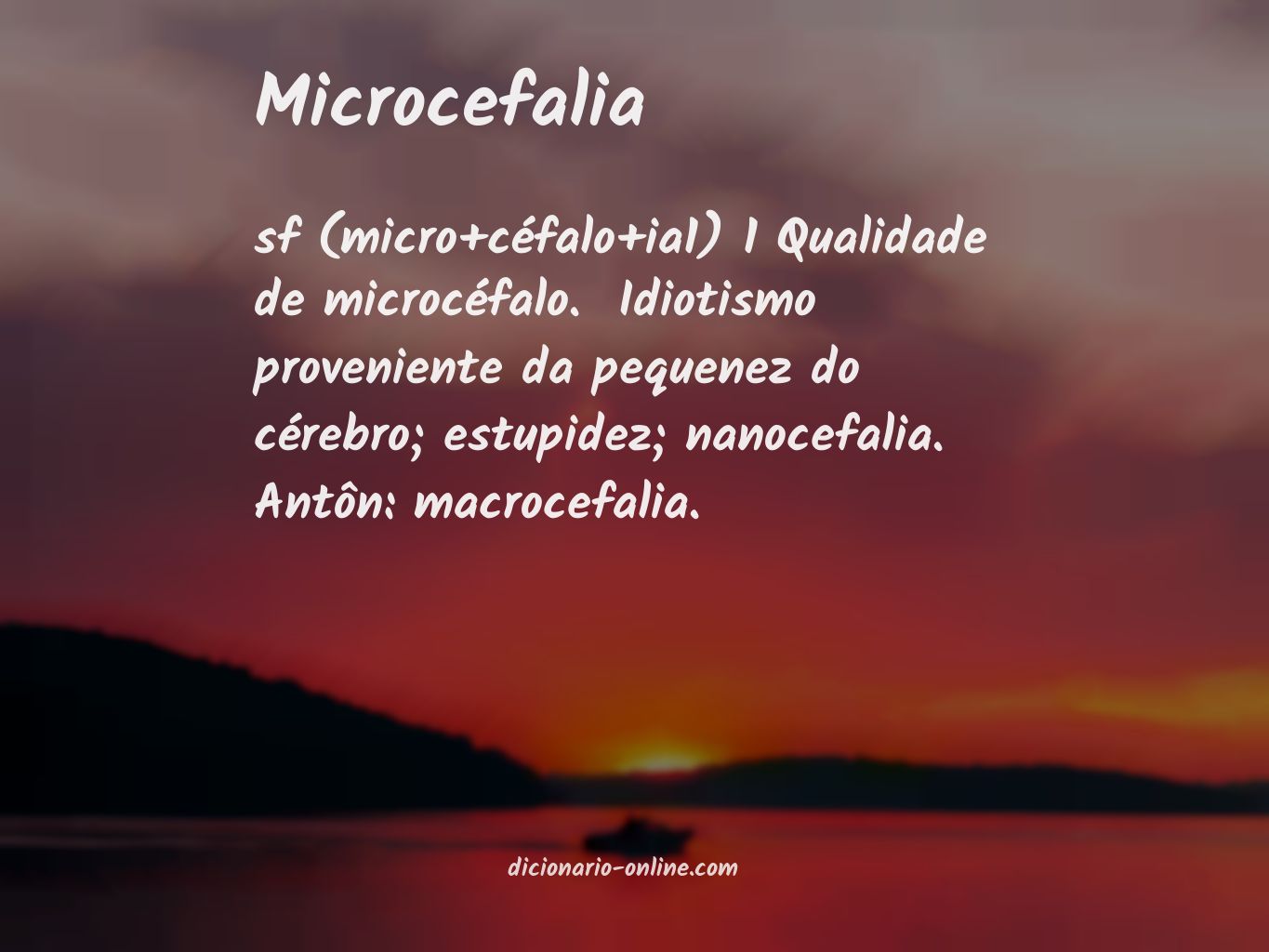 Significado de microcefalia