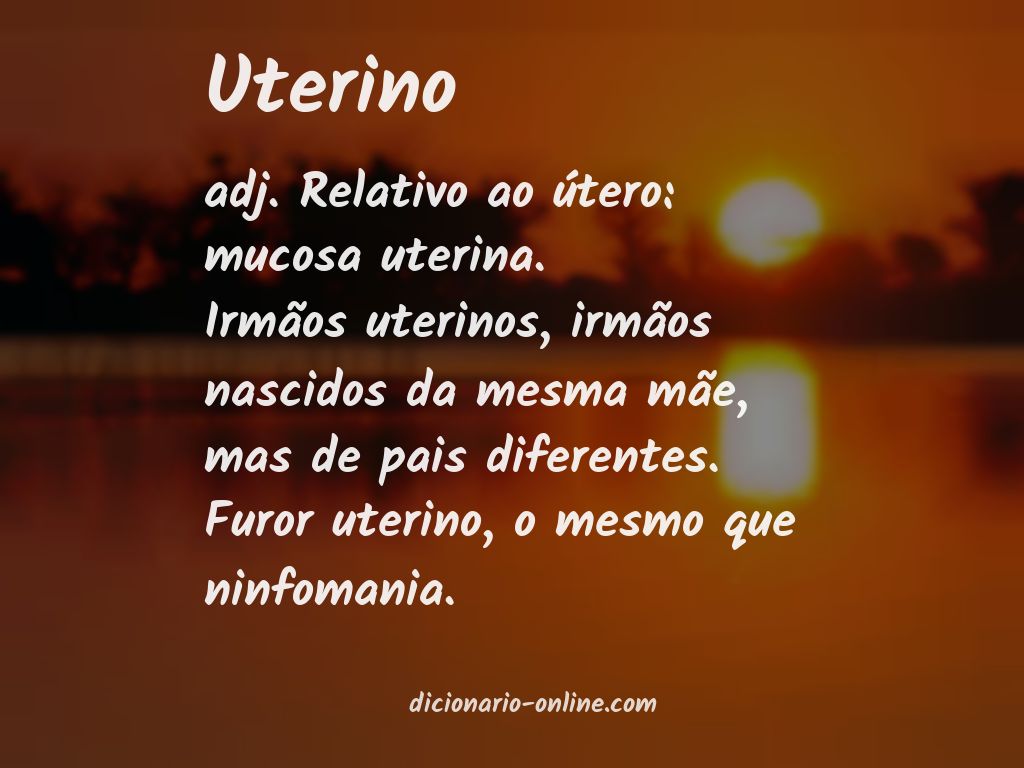 Significado de uterino