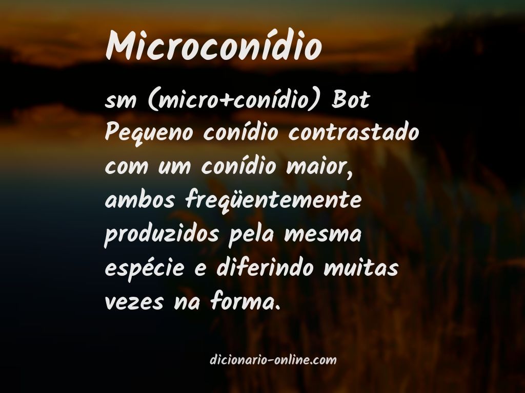 Significado de microconídio