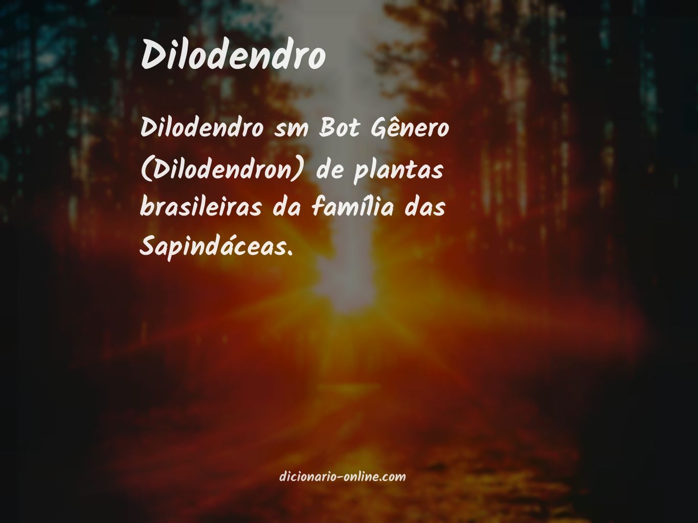 Significado de dilodendro