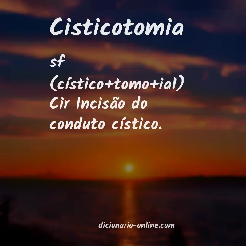 Significado de cisticotomia