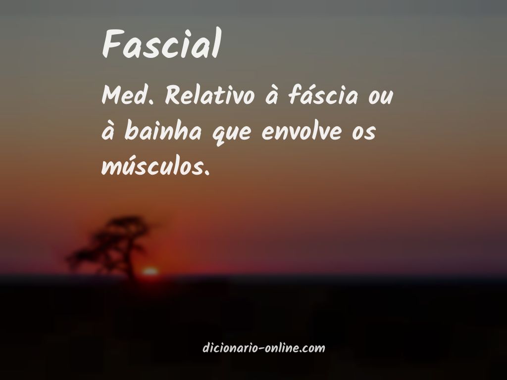 Significado de fascial