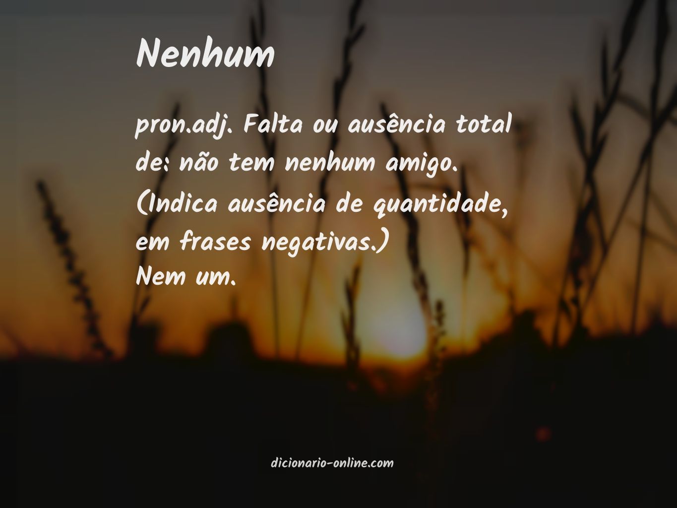 Significado de nenhum