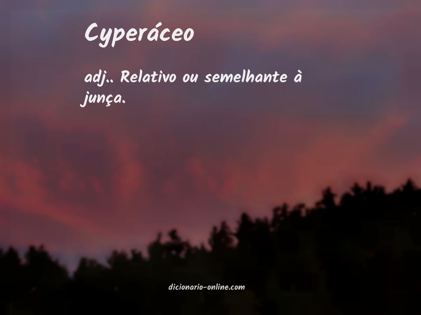 Significado de cyperáceo