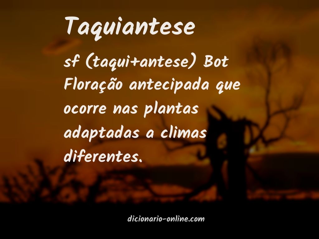 Significado de taquiantese