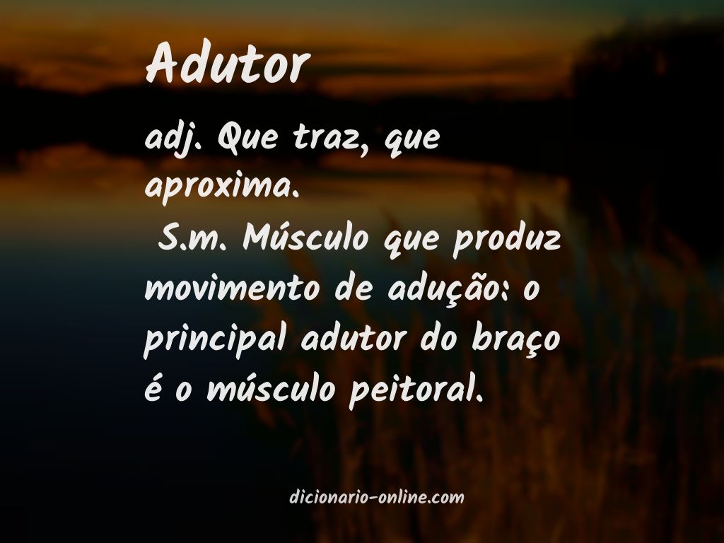 Significado de adutor