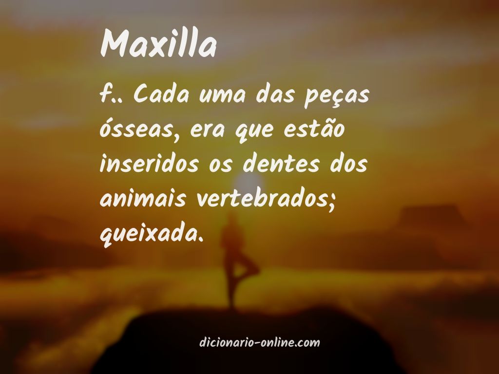 Significado de maxilla