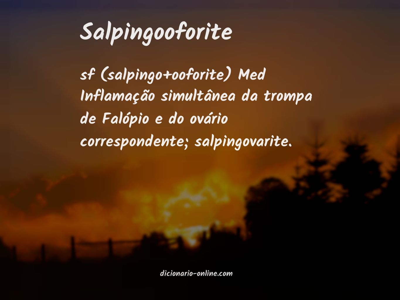 Significado de salpingooforite