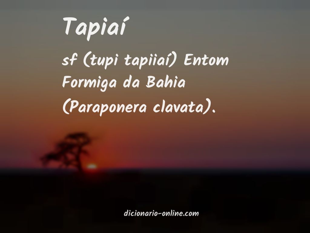 Significado de tapiaí