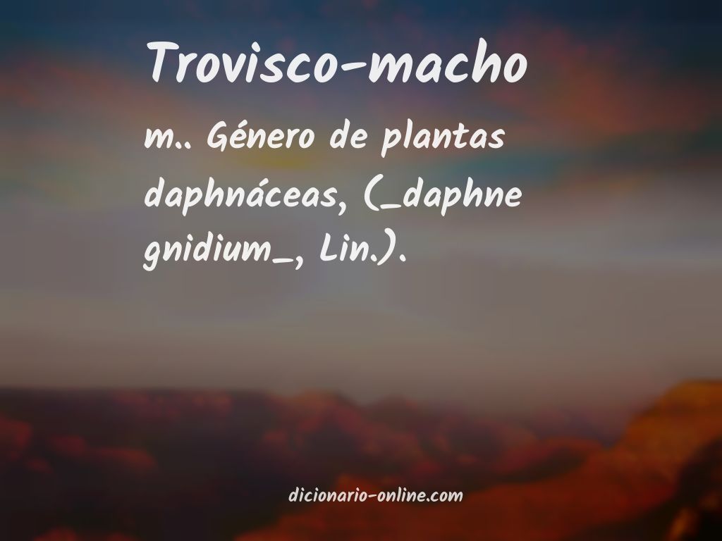 Significado de trovisco-macho