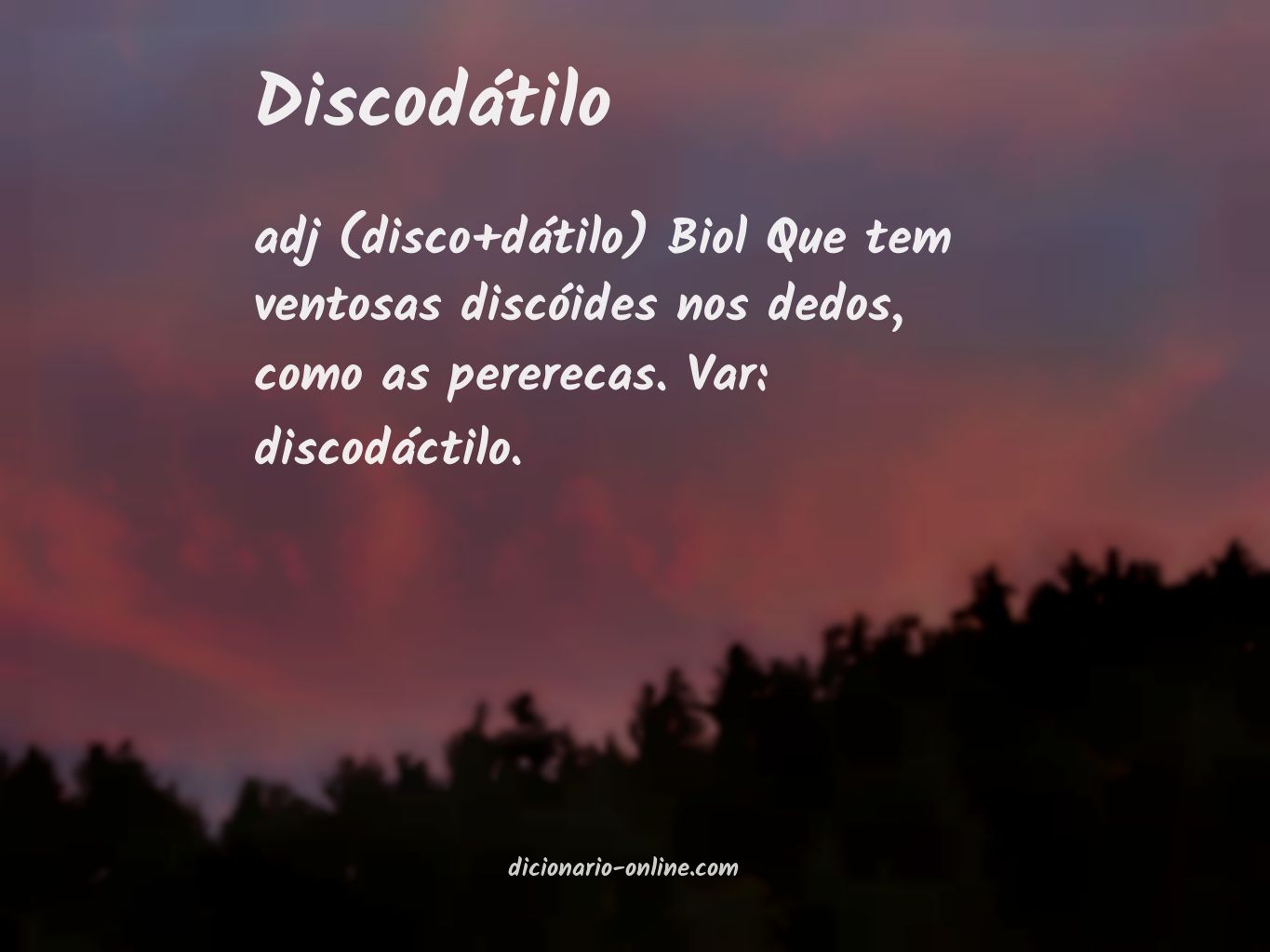 Significado de discodátilo