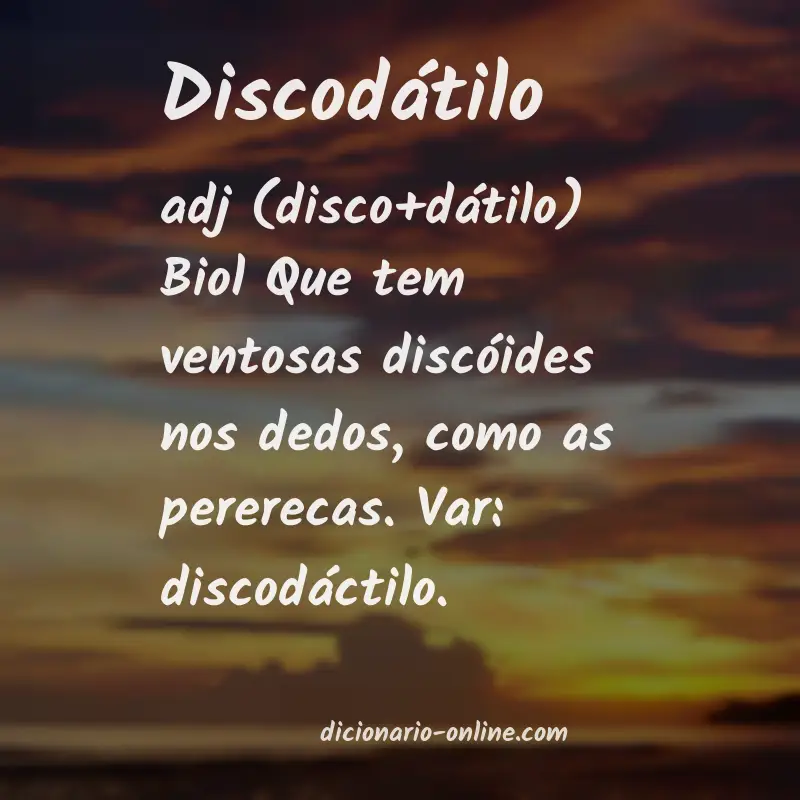 Significado de discodátilo