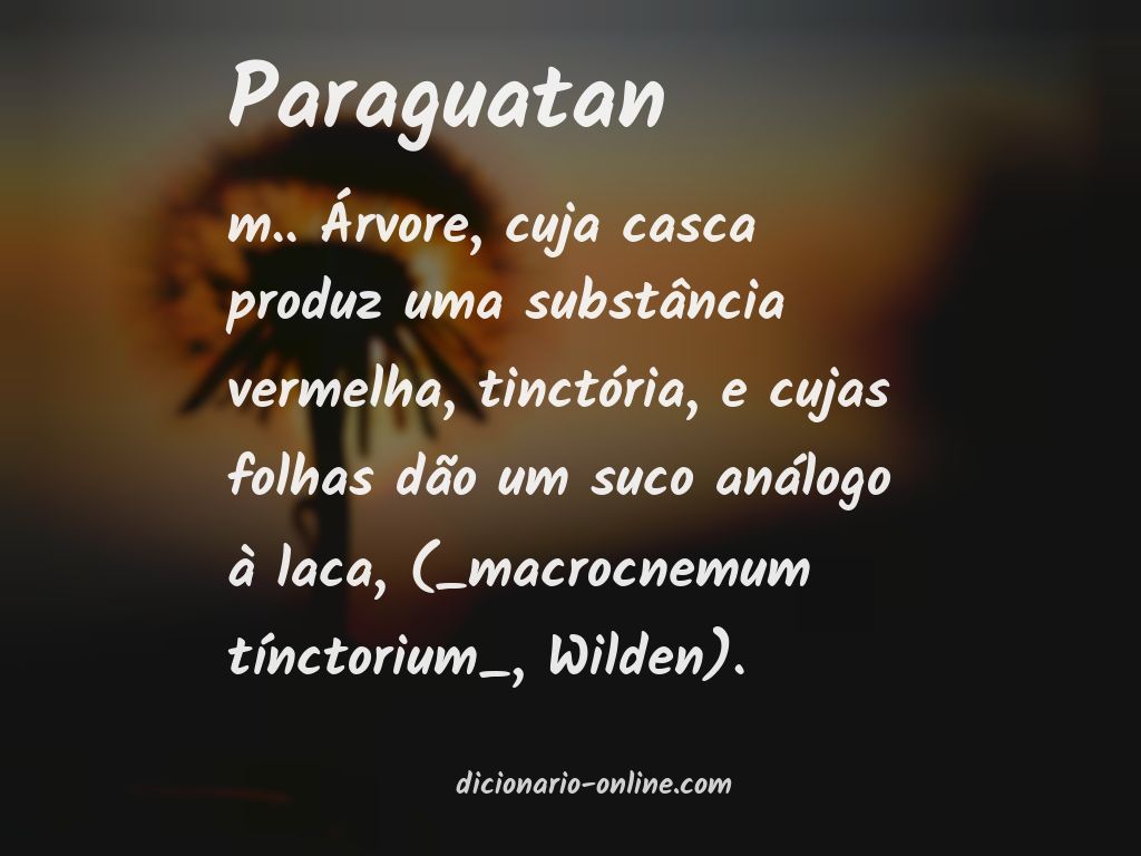 Significado de paraguatan