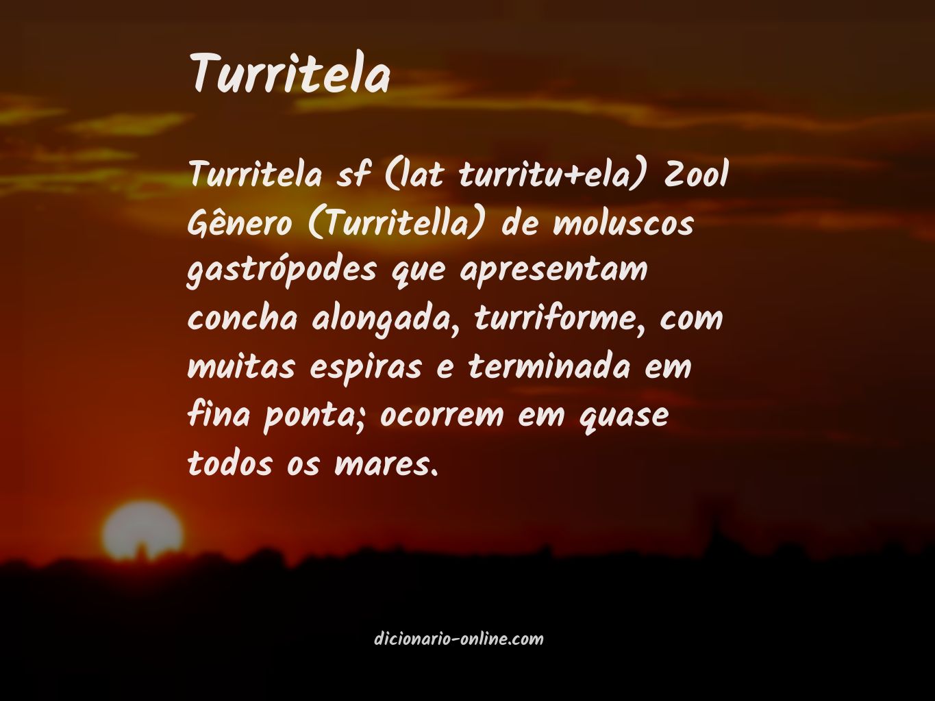 Significado de turritela