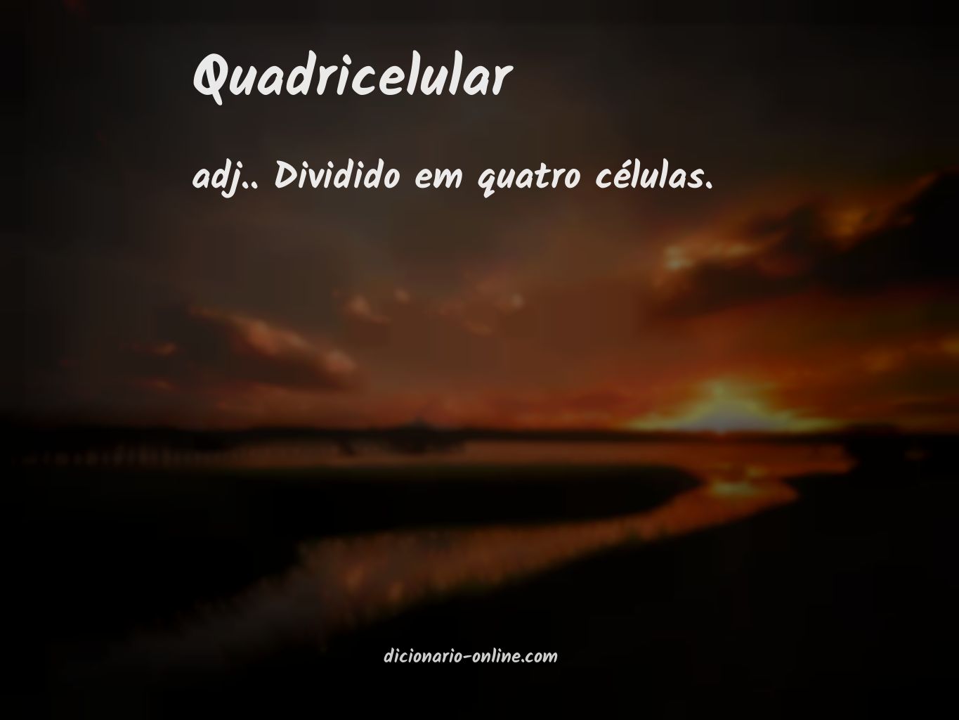 Significado de quadricelular