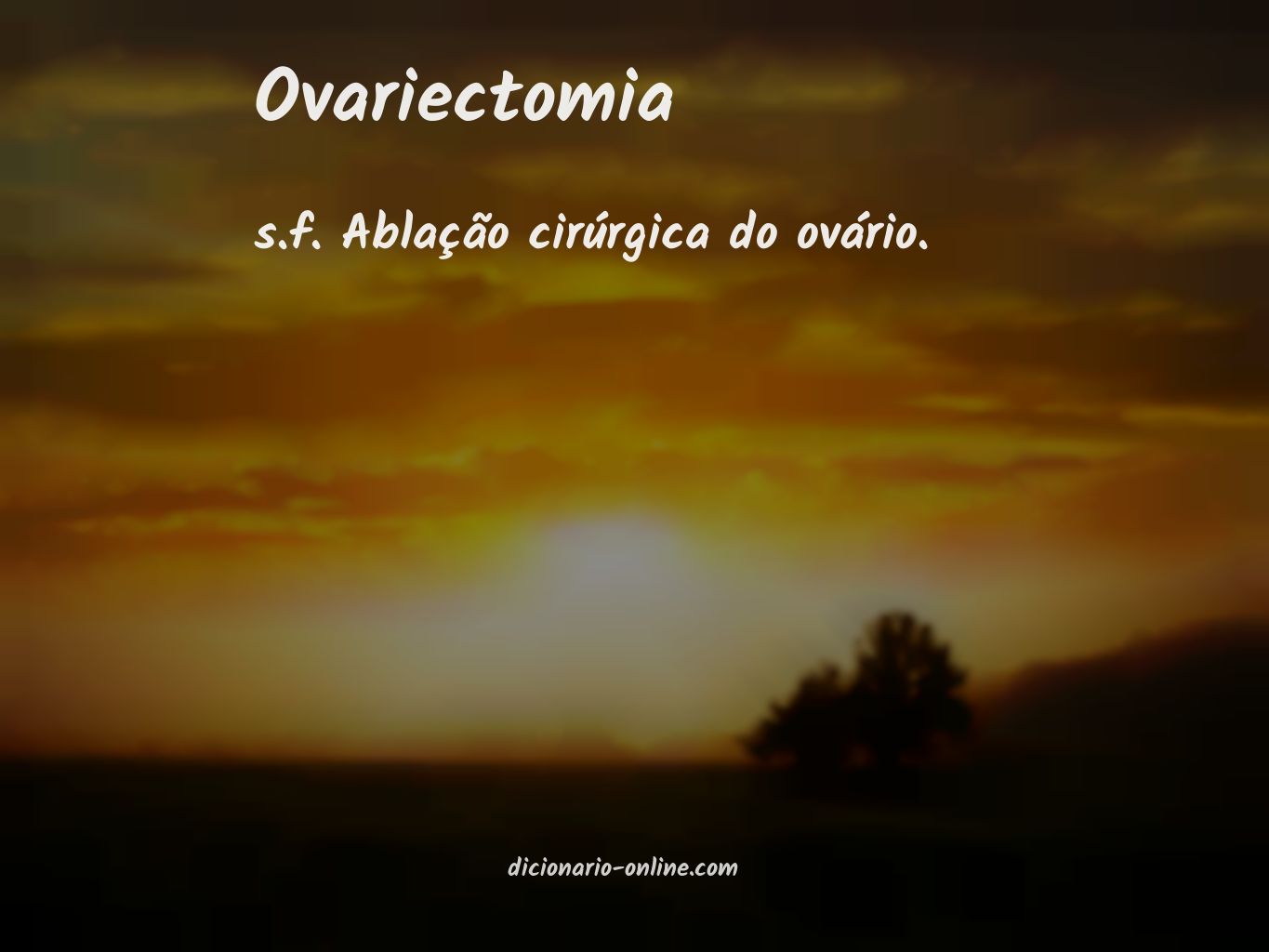 Significado de ovariectomia