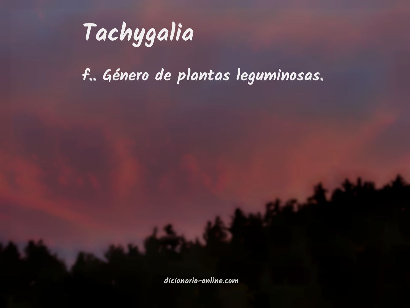 Significado de tachygalia