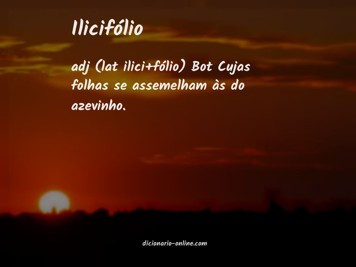 Significado de ilicifólio