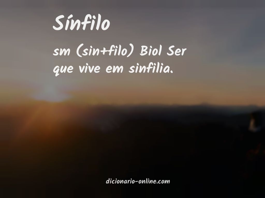 Significado de sínfilo