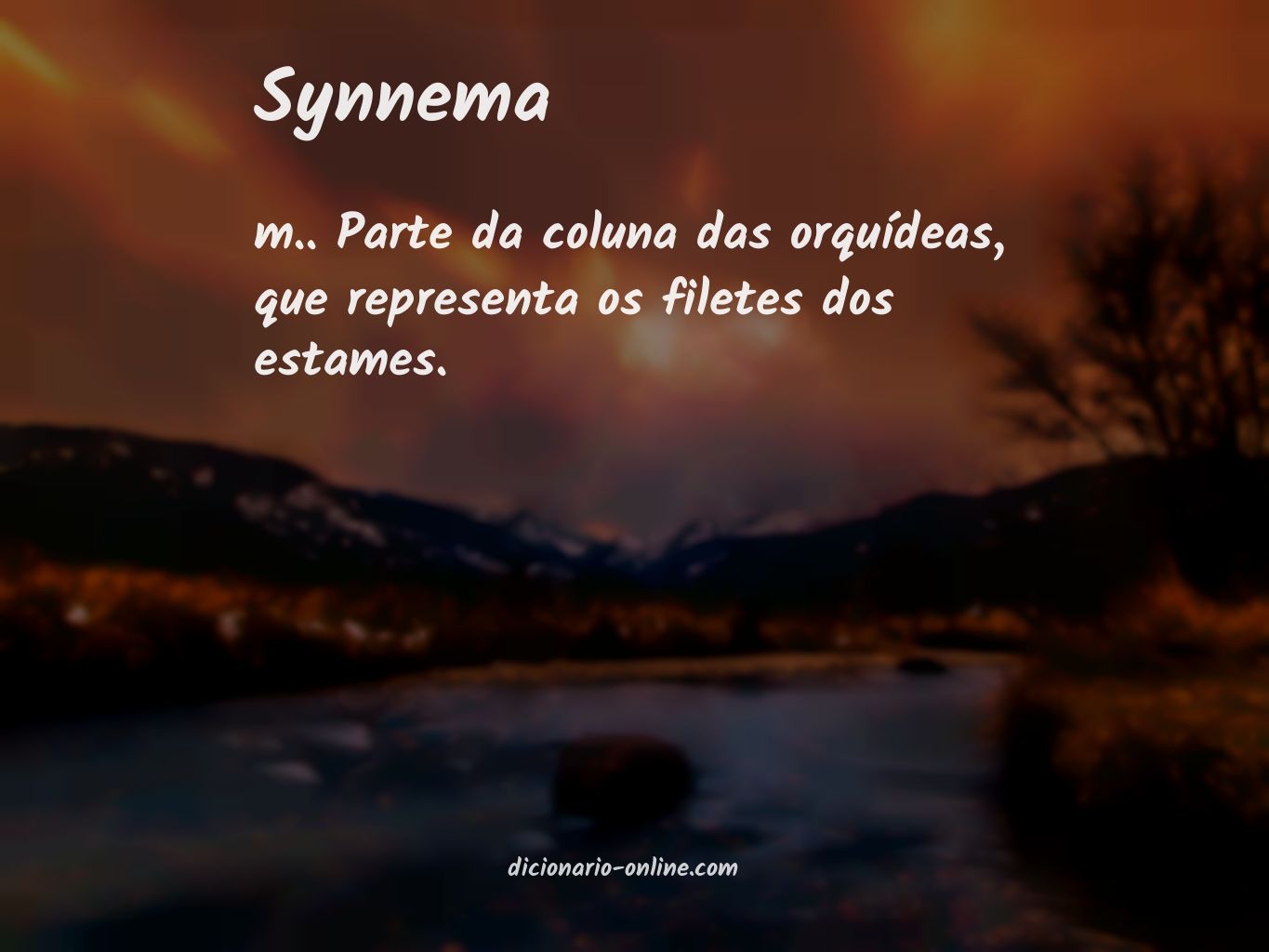 Significado de synnema