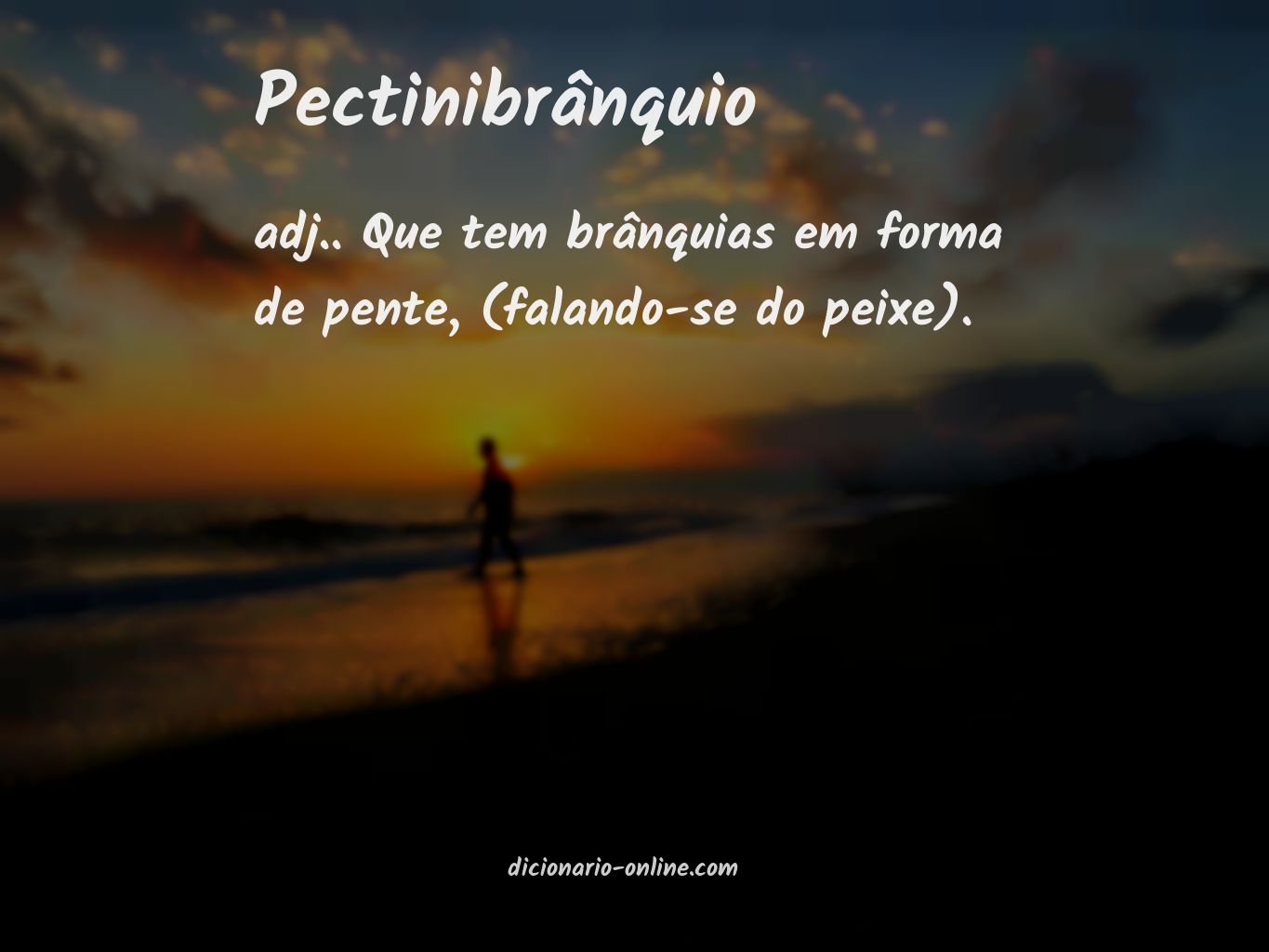 Significado de pectinibrânquio