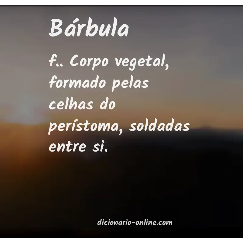 Significado de bárbula