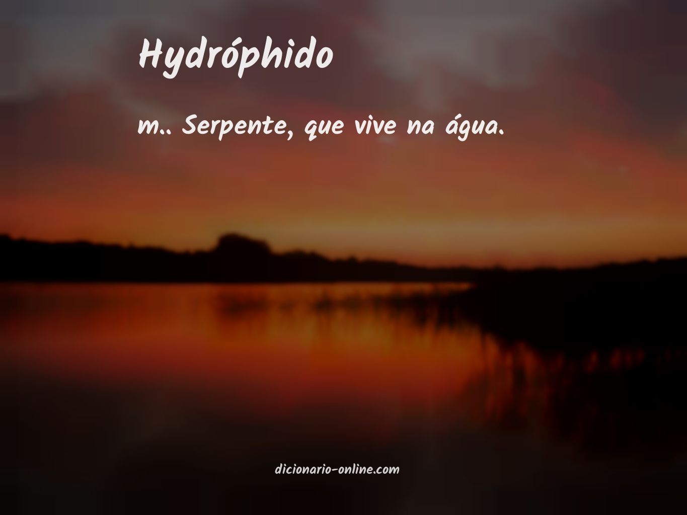 Significado de hydróphido