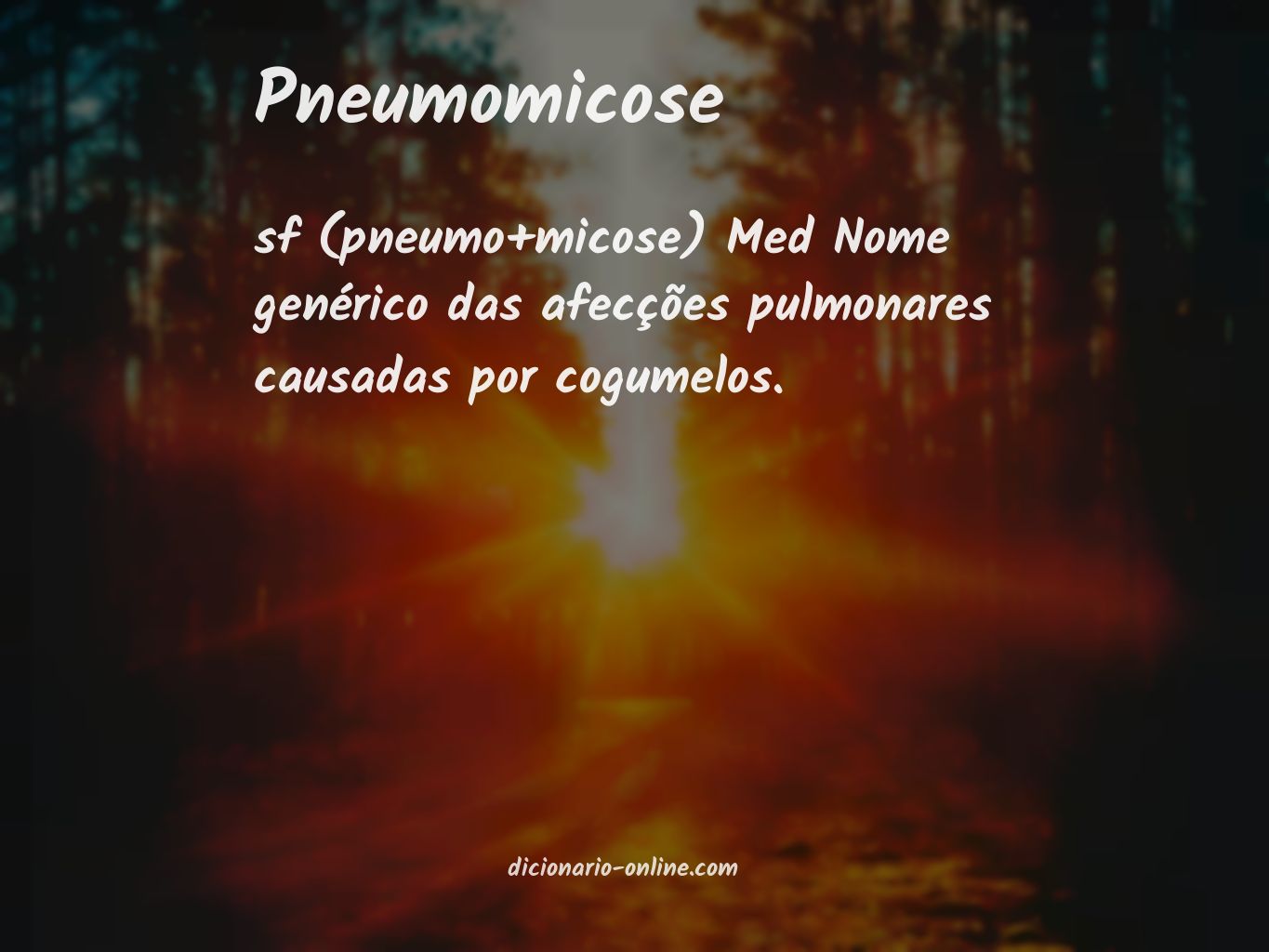 Significado de pneumomicose