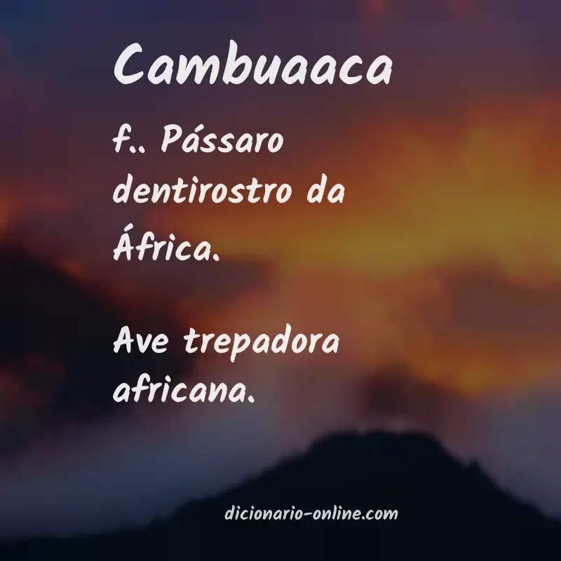 Significado de cambuaaca