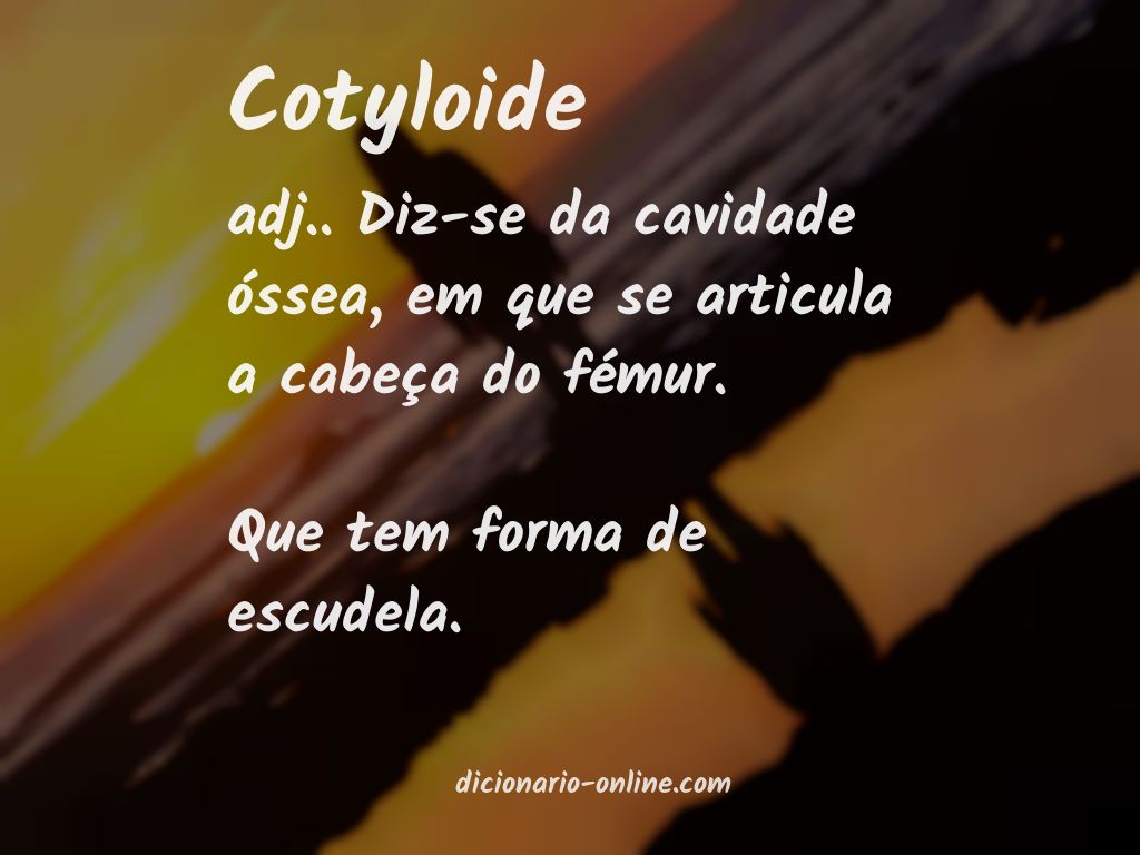 Significado de cotyloide