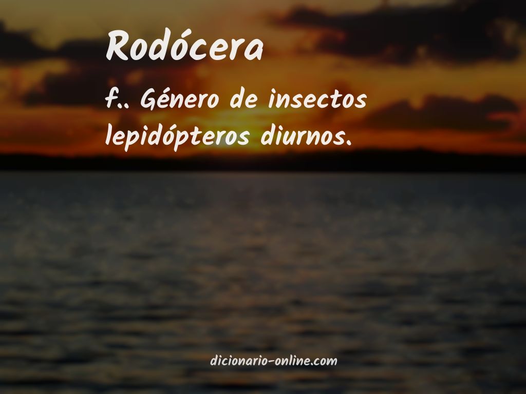 Significado de rodócera