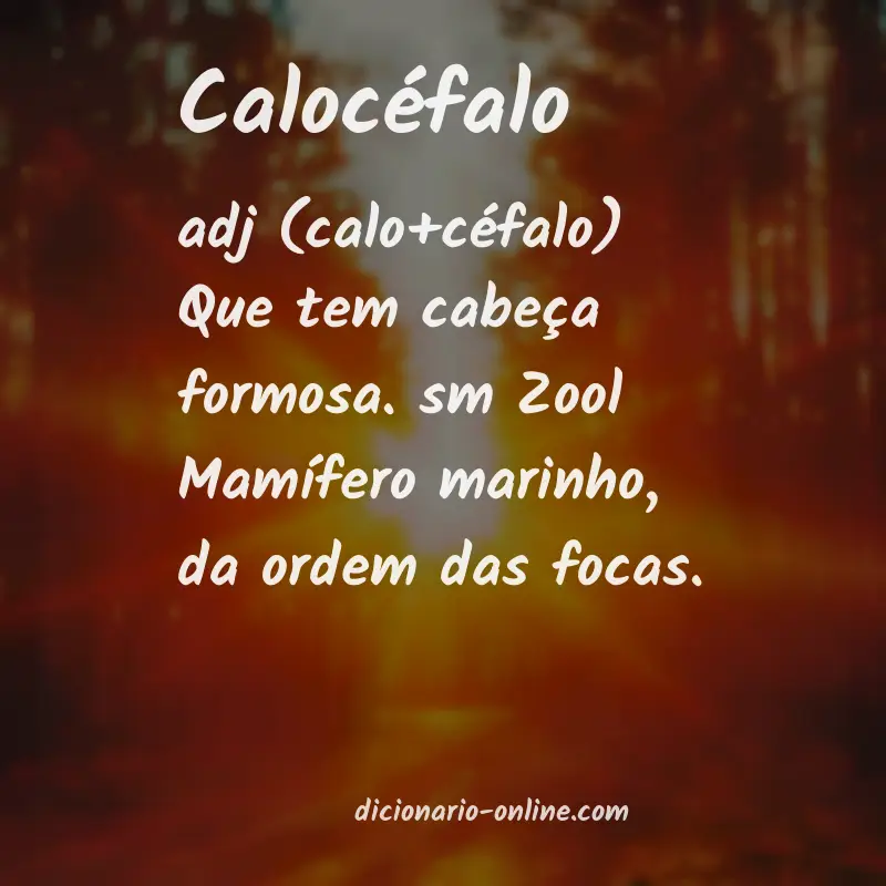 Significado de calocéfalo