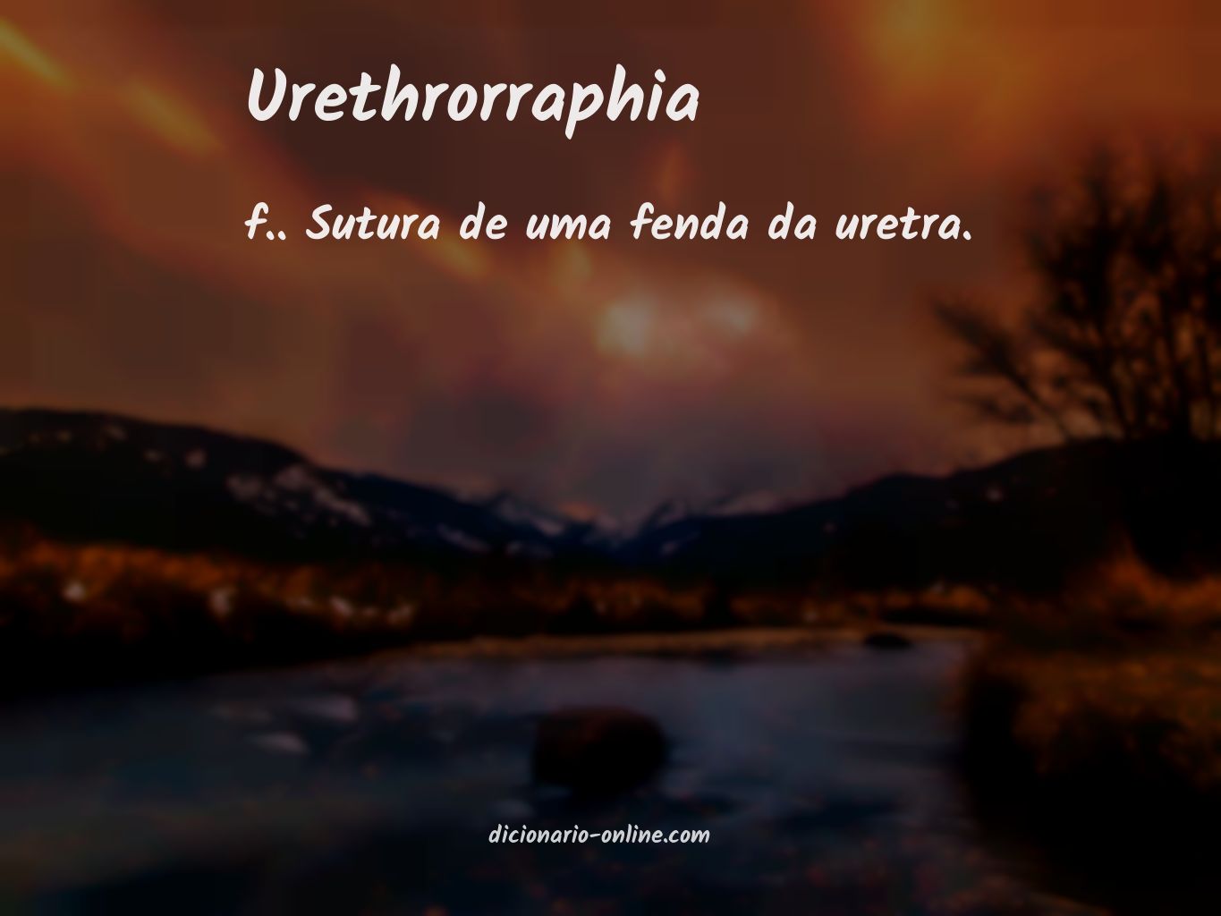 Significado de urethrorraphia