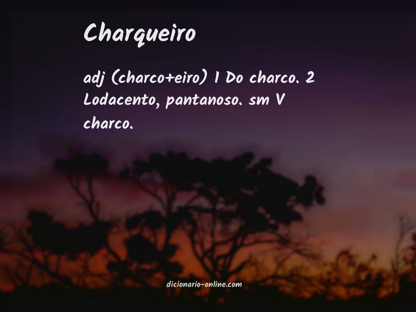 Significado de charqueiro